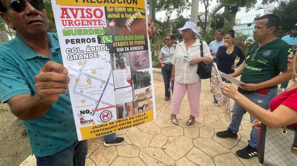 Jauría de perros bravos suman 25 víctimas heridas en Ciudad Madero