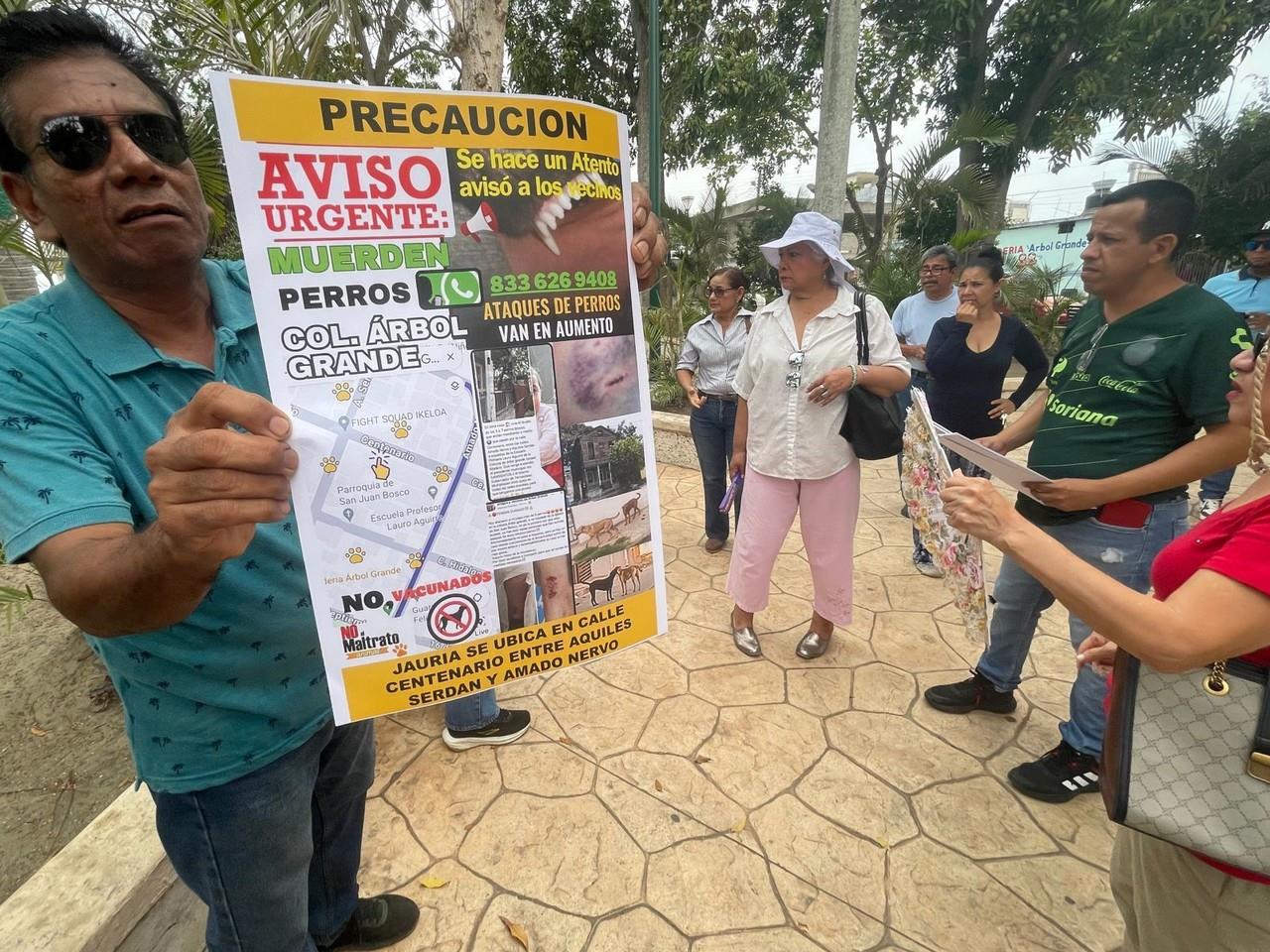 Vecinos denunciaron la jauría de perros que hay en su colonia. Foto: Axel Hassel