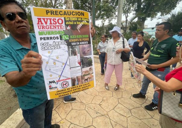 Jauría de perros bravos suman 25 víctimas heridas en Ciudad Madero