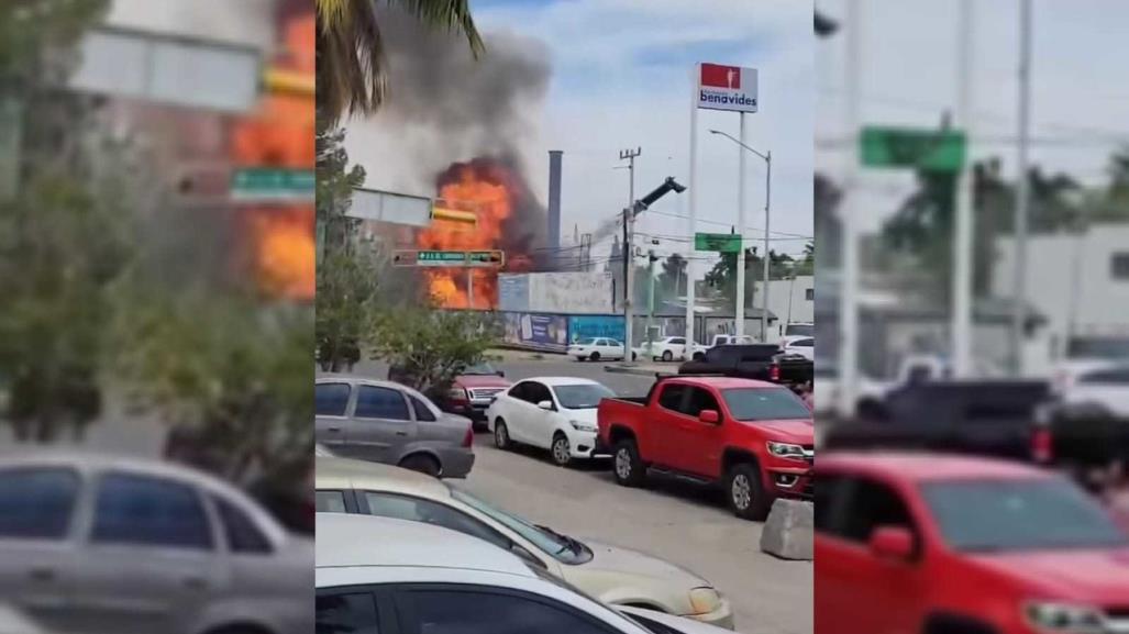 ¡Oh Sheed!: Explota negocio y joven se hace viral por reacción