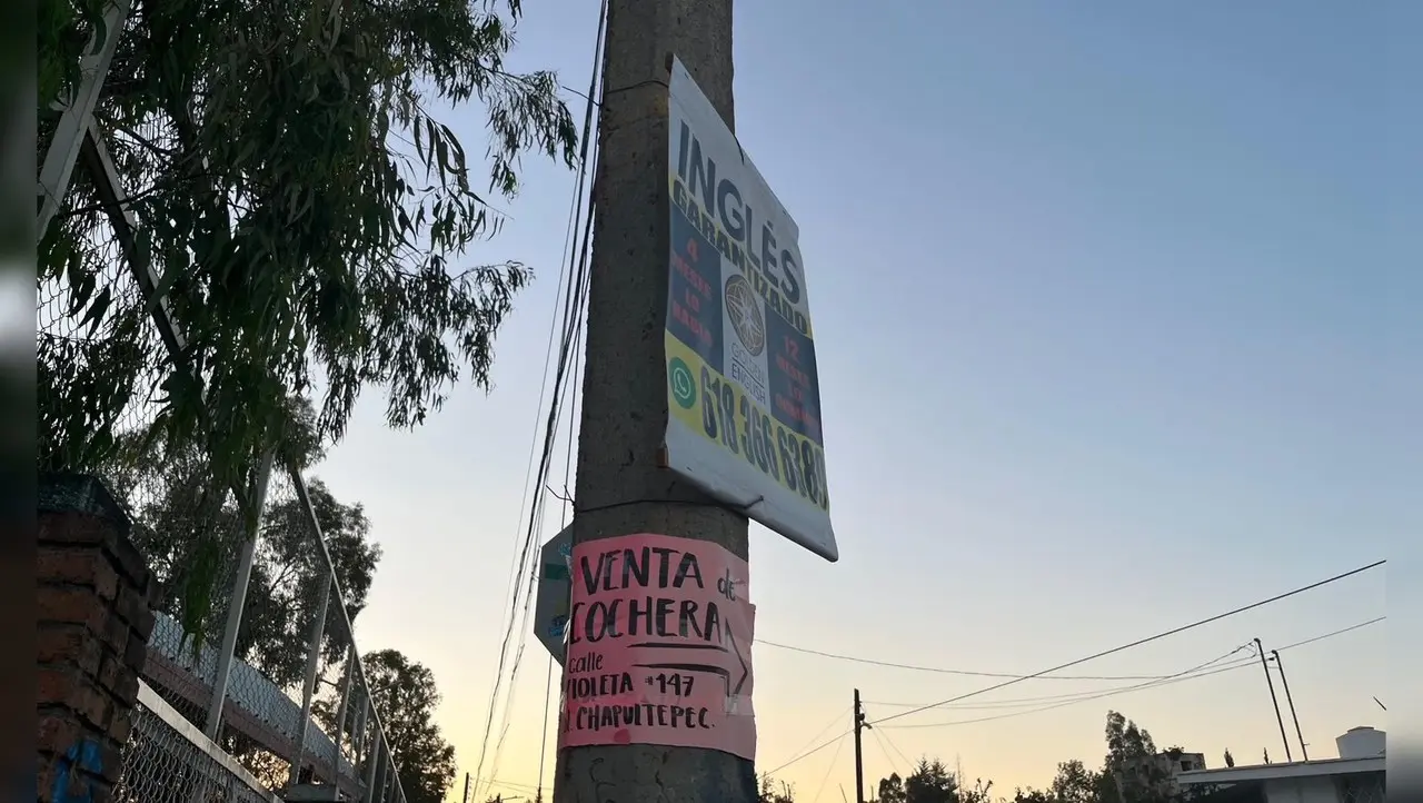 Un poste de madera sosteniendo sobre el un cartel que provoca contaminación visual. Foto: Isaura Retana.