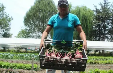 Horticultura: Está Edomex en los primeros lugares de producción en el país