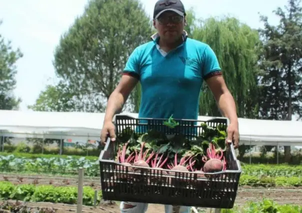 Horticultura: Está Edomex en los primeros lugares de producción en el país