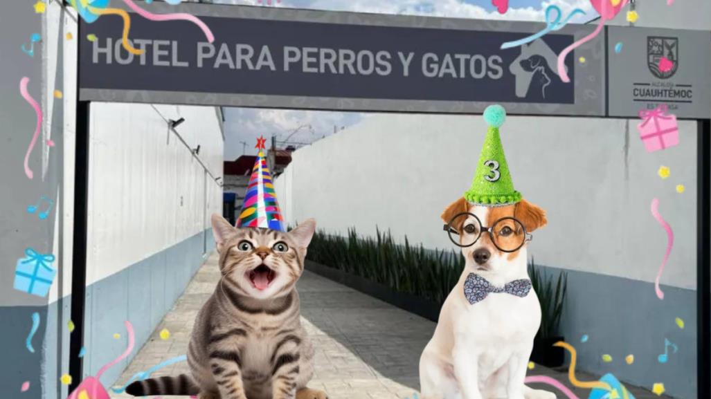 El Hotel para Perros y Gatos Abandonados celebra un año de logros en CDMX