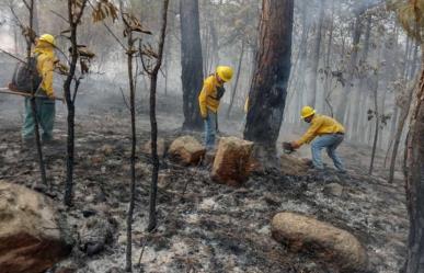 Refuerzan desde el aire combate a incendio forestal en El Peñón