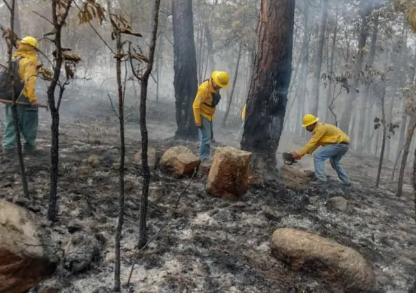 Refuerzan desde el aire combate a incendio forestal en El Peñón