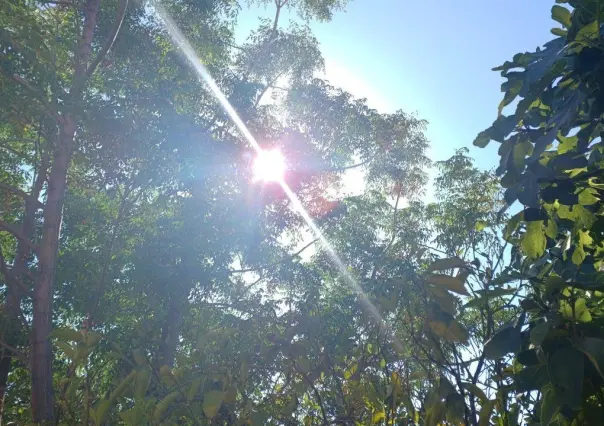 Viene la tercera ola de calor a Durango; Días seguidos de intensas temperaturas