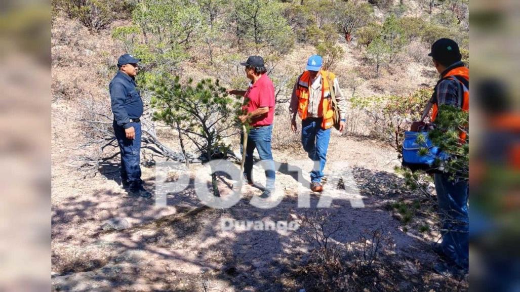 Accidente de helicóptero en Durango deja 5 lesionados