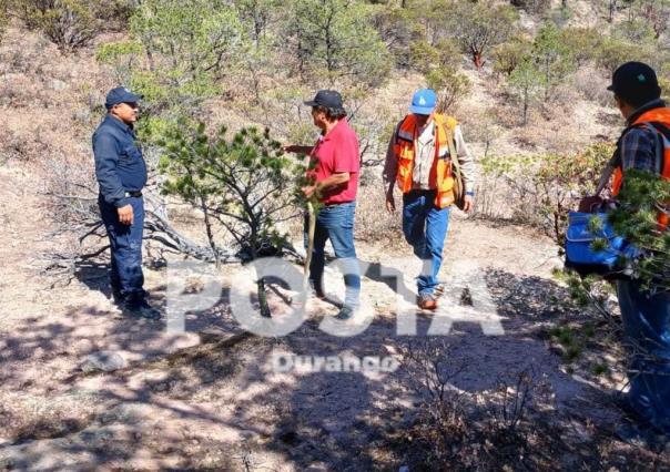 Accidente de helicóptero en Durango deja 5 lesionados