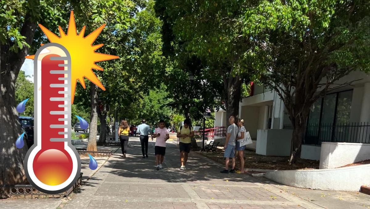 Estas temperaturas son provocadas por un sistema anticiclónico Foto: Especial