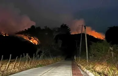 Cinco días después está bajo control el incendio forestal en El Peñón