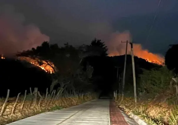 Cinco días después está bajo control el incendio forestal en El Peñón