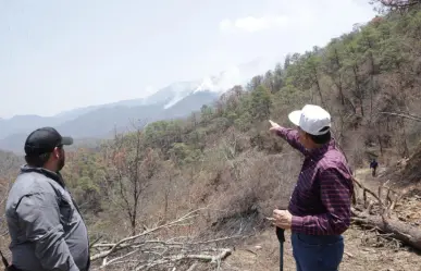 Incendio en el Cañón del Novillo se encuentra controlado en un 65 por ciento