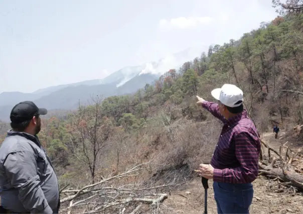 Incendio en el Cañón del Novillo se encuentra controlado en un 65 por ciento