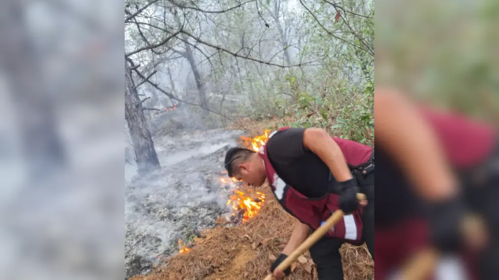 Continúa combate del incendio forestal en La Chona, Jaumave