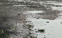 Laguna del Chairel apesta a muerte