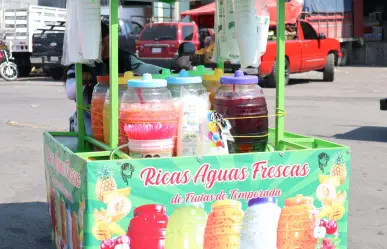 ¡De México para el mundo! Aguas Frescas,  la mejor bebida sin alcohol