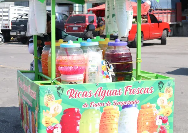 ¡De México para el mundo! Aguas Frescas,  la mejor bebida sin alcohol