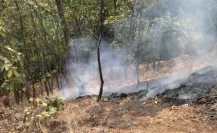 Aumentan incendios forestales activos y fuera de control en Edomex