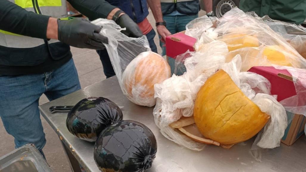 España: Confiscan más de una tonelada de cocaína que venía dentro de melones