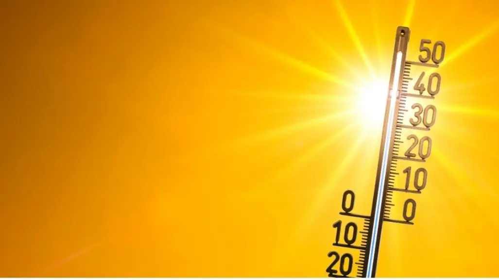 ¿Qué es una ola de calor y cuáles son sus efectos en el planeta?