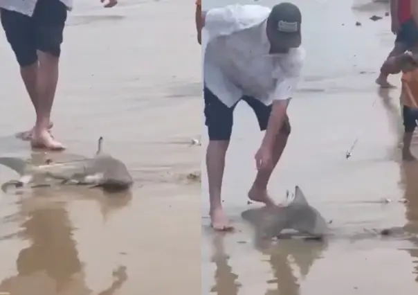 Pequeño tiburón sorprende a turistas en la Isla del Padre (VIDEO)