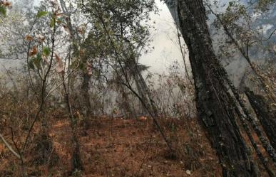 Aumentó el calor y también los incendios forestales en Edomex