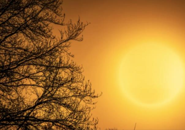 Tercera ola de calor en México: 12 estados por arriba de los 45 °C