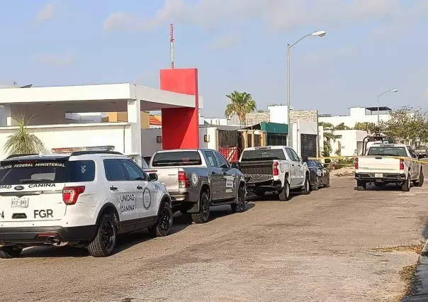 Catean La Bodega del iguano en el fraccionamiento Las Américas en Mérida