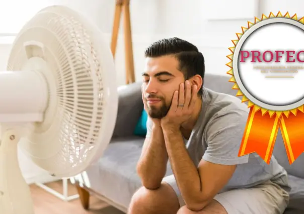 Profeco: Descubre los mejores ventiladores para enfrentar el calor