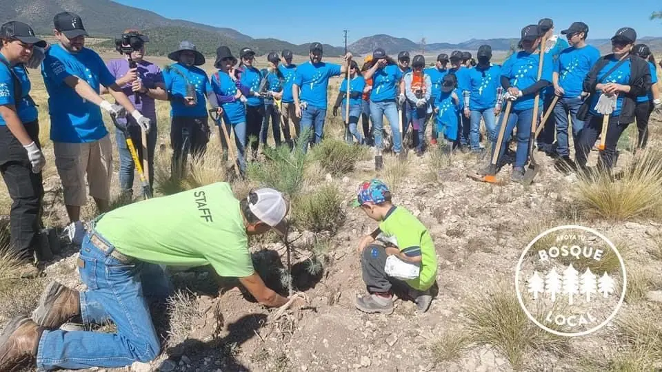 Llaman a la población a plantar especies nativas de la región. (Fotografía: Cortesía)