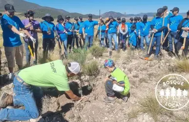 Saltillo, ¿la ciudad del clima ideal?