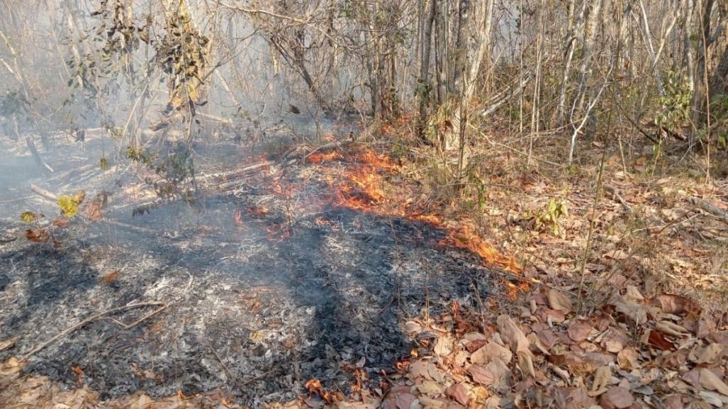 Fuerte incendio en Reserva de la Biosfera Ría Lagartos en Yucatán