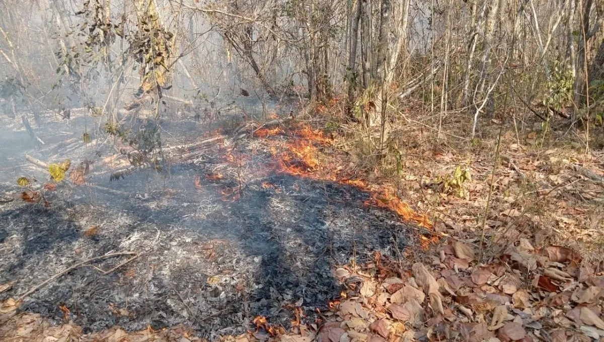 Incendio en  la Reserva de la Biosfera Ría Lagartos. Foto: Redes sociales