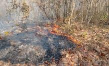 Fuerte incendio en Reserva de la Biosfera Ría Lagartos en Yucatán