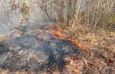 Fuerte incendio en Reserva de la Biosfera Ría Lagartos en Yucatán