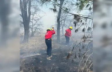 Durango dentro de los 10 primeros lugares de incendios forestales en el país