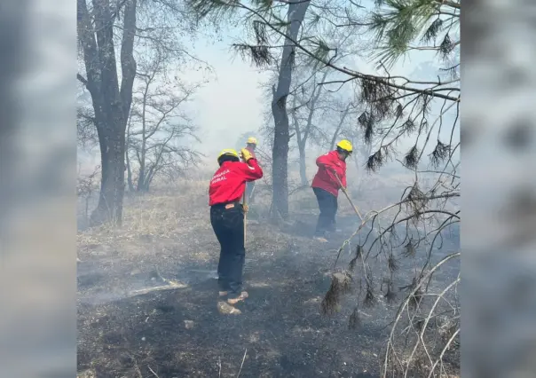 Durango dentro de los 10 primeros lugares de incendios forestales en el país