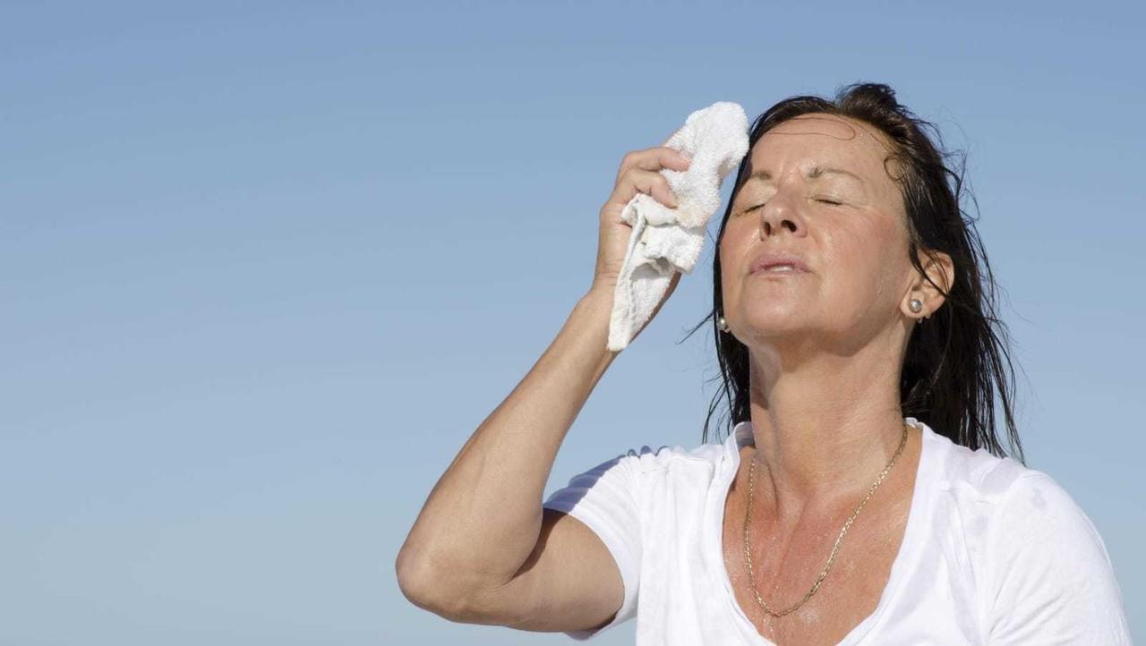 Precauciones ante enfermedades relacionadas con el calor. Foto: Especial