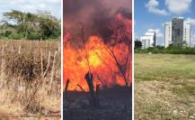 Alerta sobre sequía, incendios e impacto del desarrollo inmobiliario en Yucatán