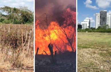 Alerta sobre sequía, incendios e impacto del desarrollo inmobiliario en Yucatán