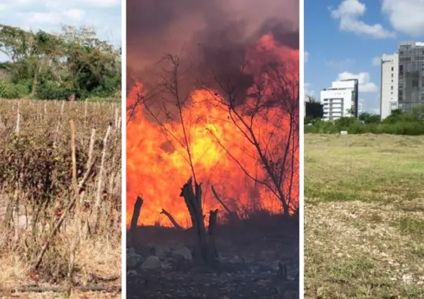 Alerta sobre sequía, incendios e impacto del desarrollo inmobiliario en Yucatán