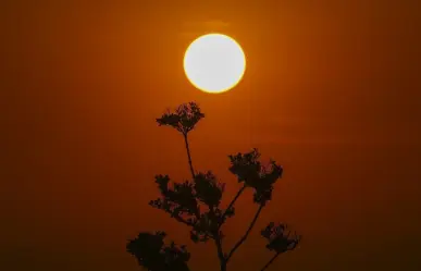 ¿Qué es el domo de calor que afecta a México y Centroamérica?