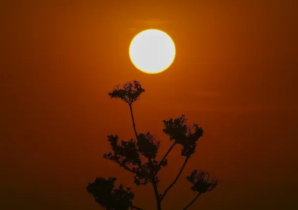 ¿Qué es el domo de calor que afecta a México y Centroamérica?