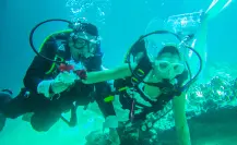 Bodas en cenotes de Yucatán, vive la experiencia de dar el ¡Sí! bajo el agua