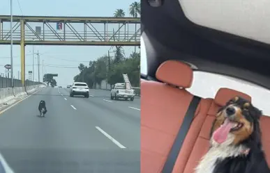 ¡Está chavo y se le hizo fácil! Perrito escapa y corre en la carretera Nacional