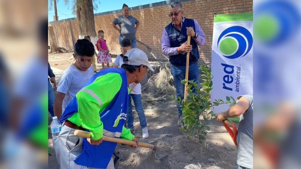 Red Ambiental realiza jornada de reforestación rural en primarias de Durango