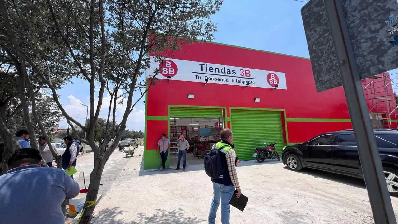 Talan ilegalmente árboles en Metepec, suspenden tienda 3B