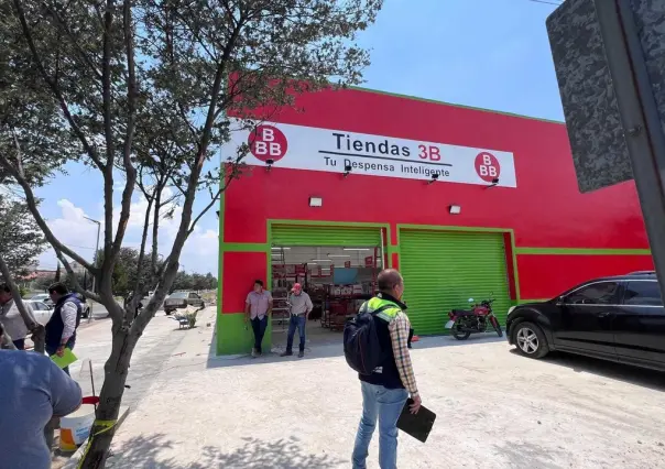 Talan ilegalmente árboles en Metepec, suspenden tienda 3B