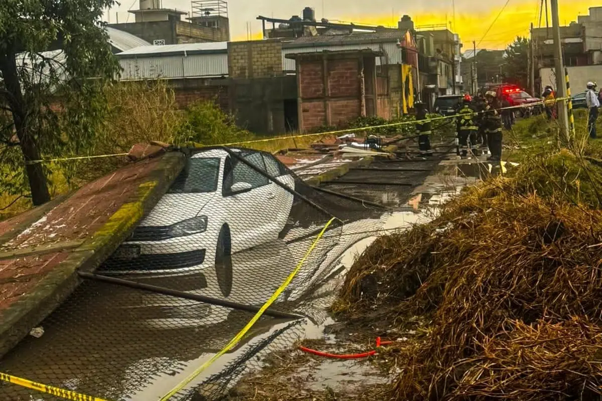 El tornado terminó derribando una gran cantidad de árboles Foto: X(Twitter) @TolucaGob